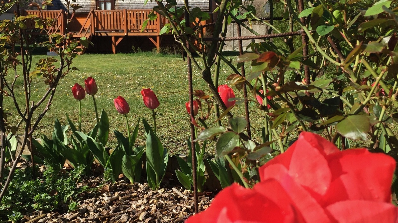 Photo of Outdoor in Amboise