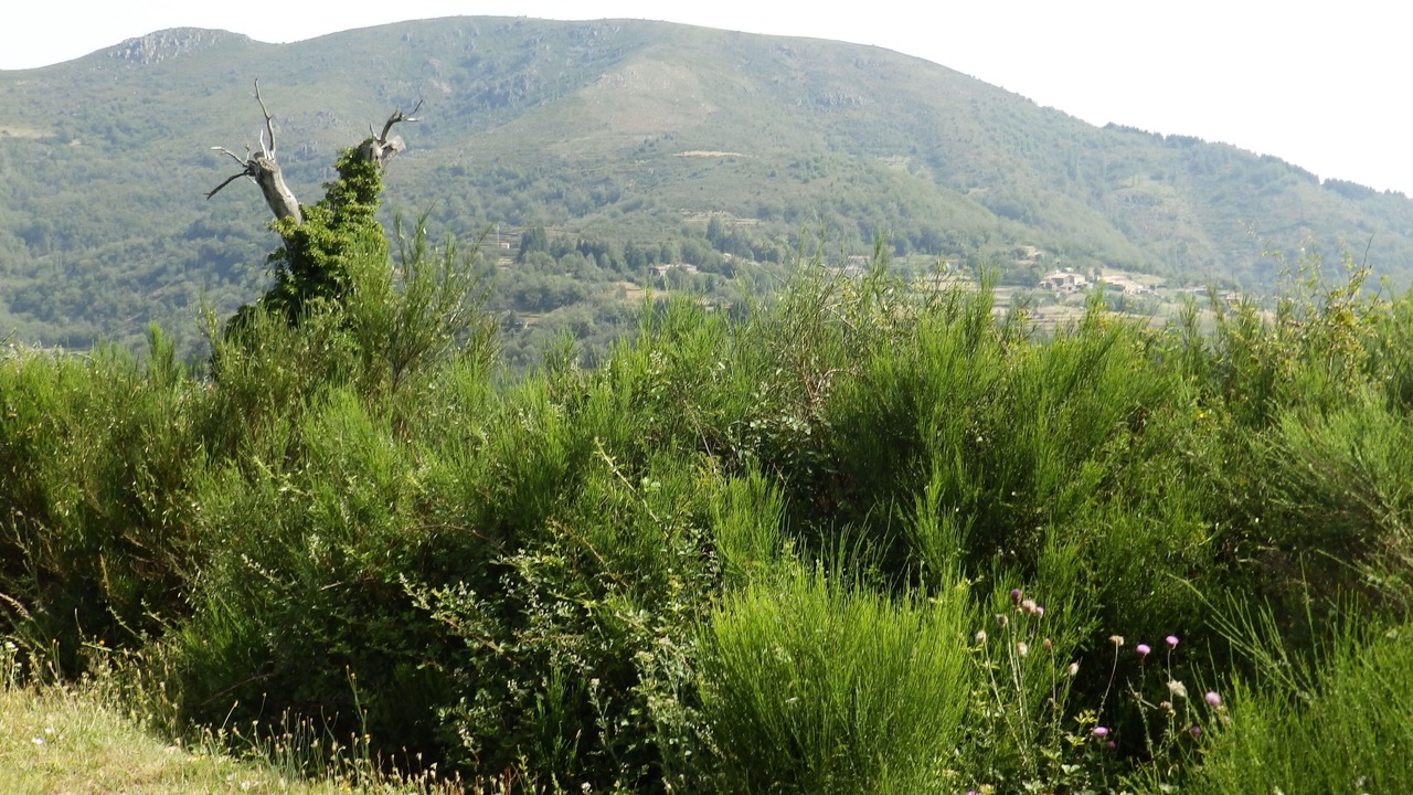 Photo of Outdoor in Saint-Julien-du-Gua