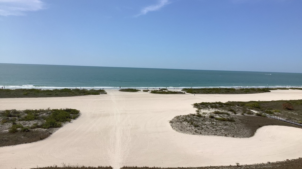 Photo of Others in Sand Key