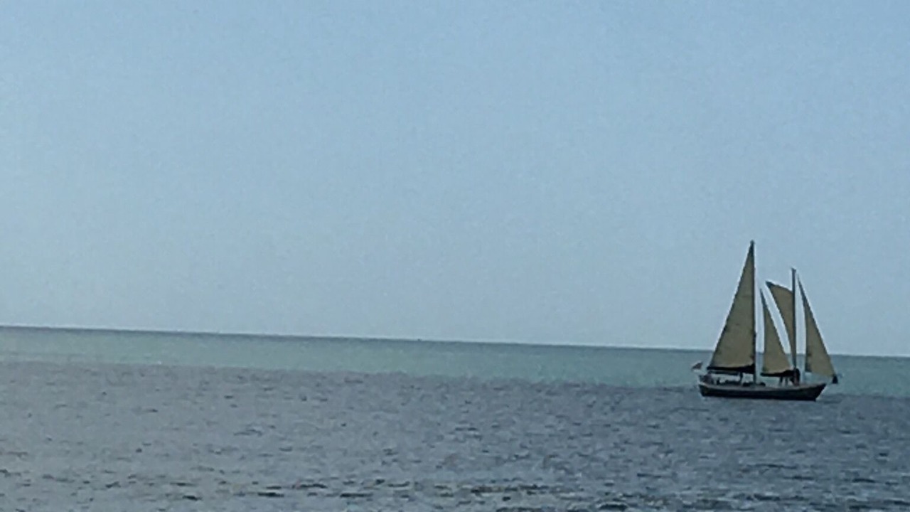 Photo of Others in Sand Key