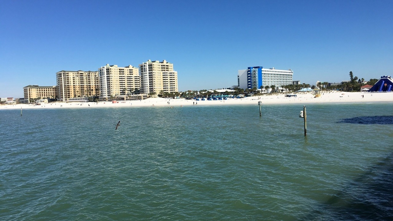 Photo of Others in Sand Key