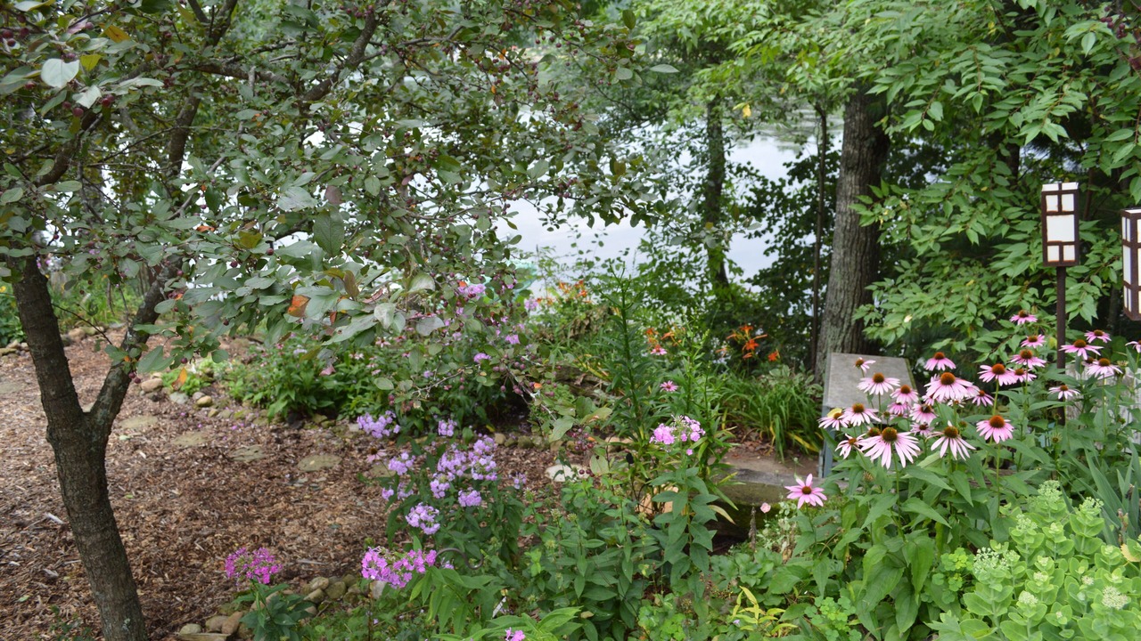 Photo of Outdoor in Mountain
