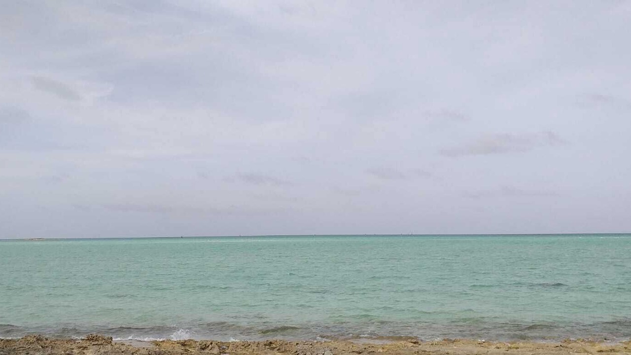 Photo of Others in North Andros