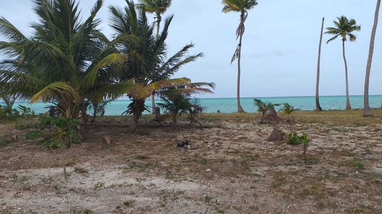 Photo of Others in North Andros