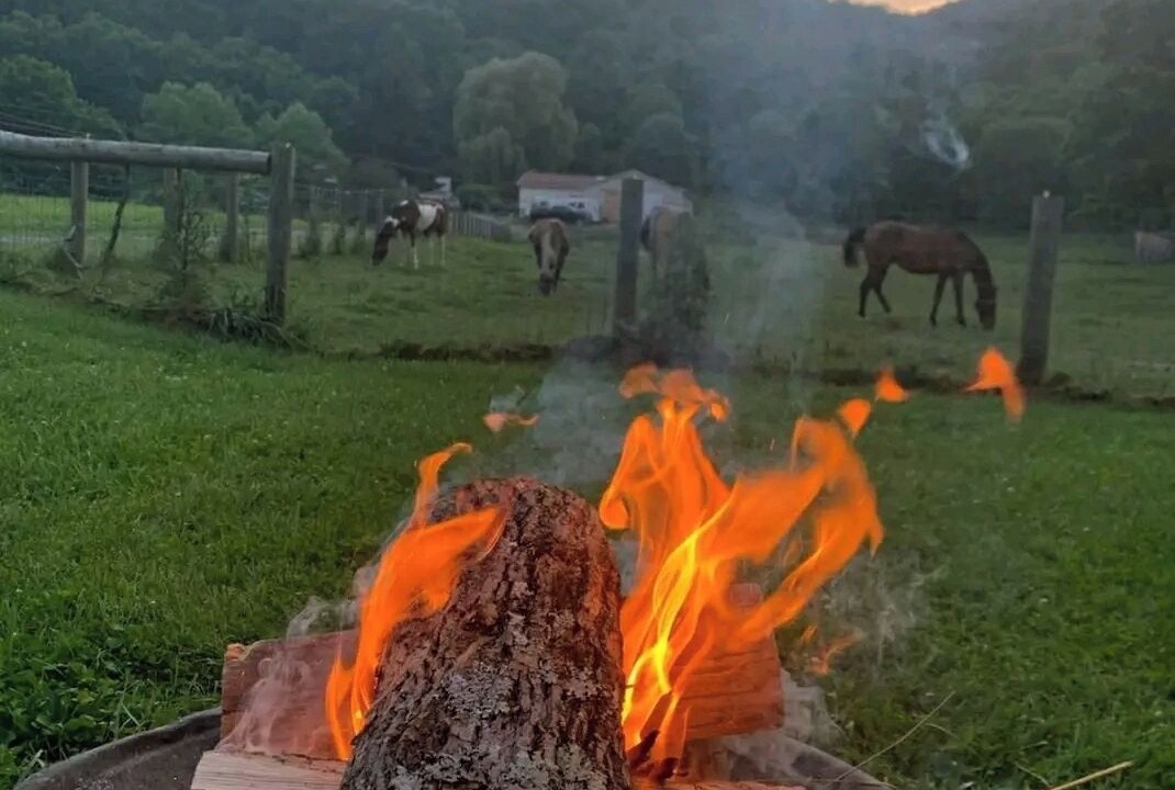 Photo of Others in Lewisburg