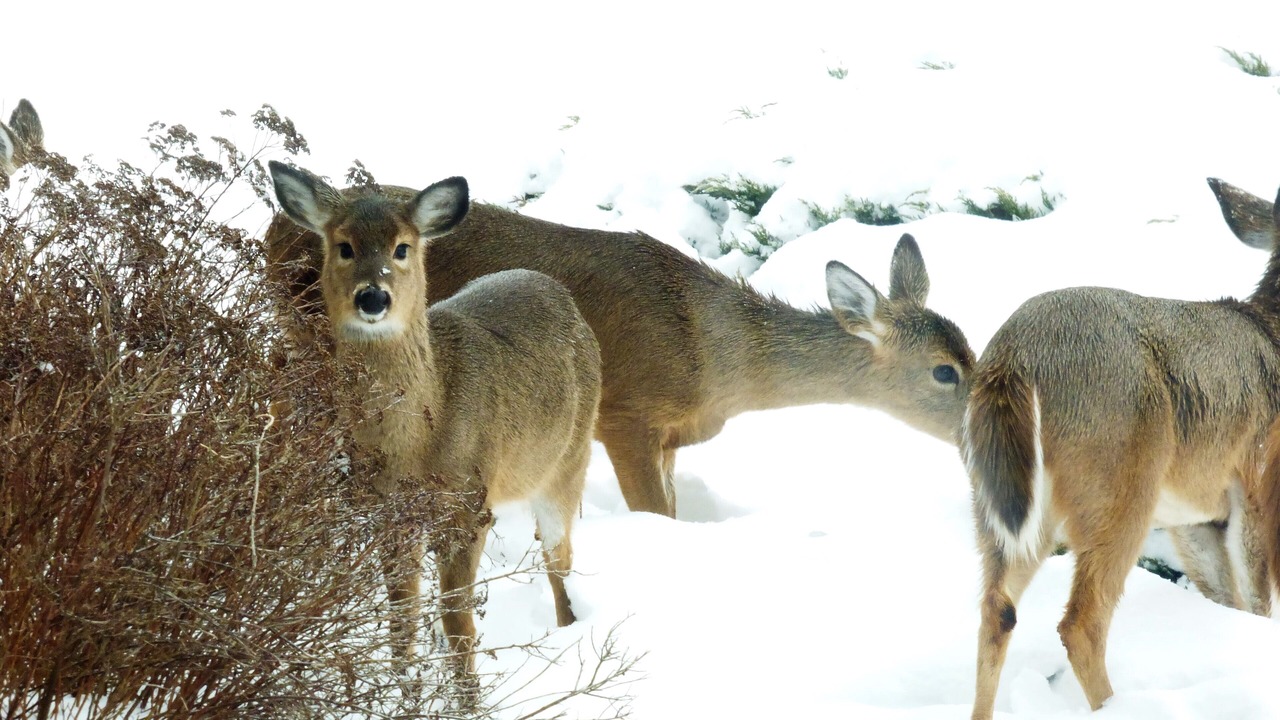 Photo of Outdoor in Lewisburg