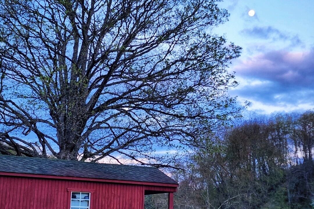 Photo of Outdoor in Lewisburg
