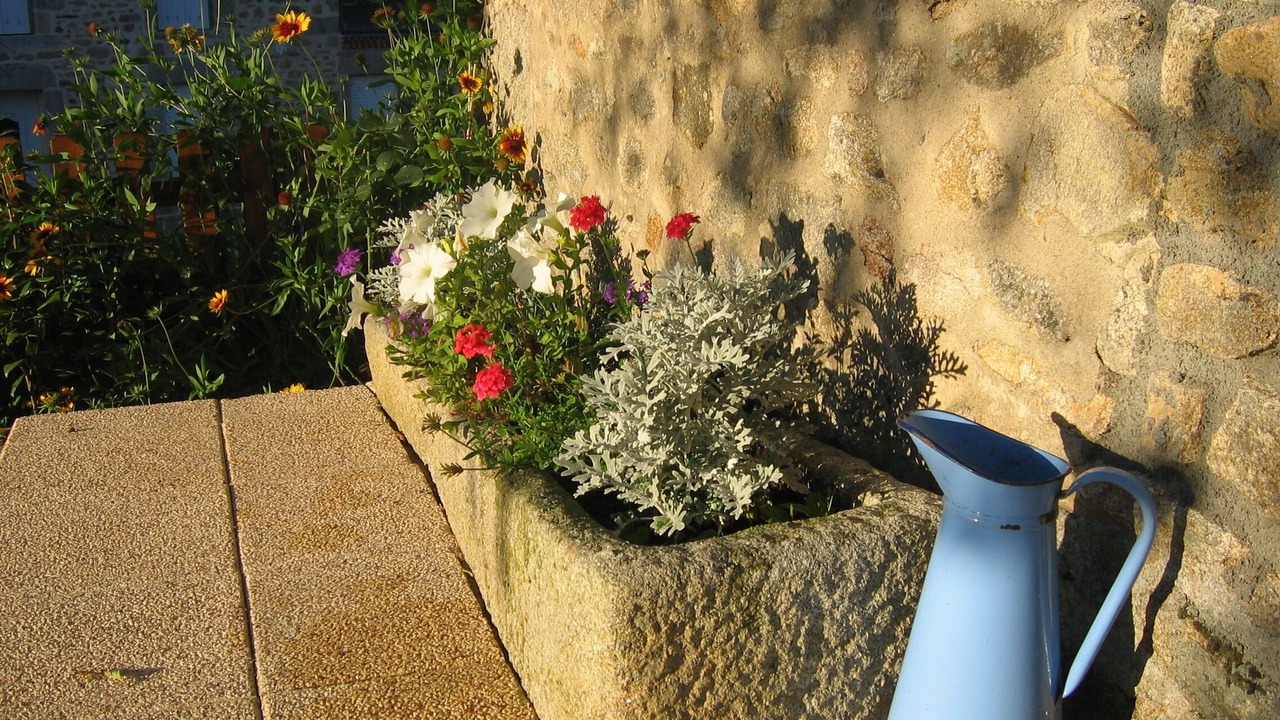 Photo of Outdoor in Jouillat