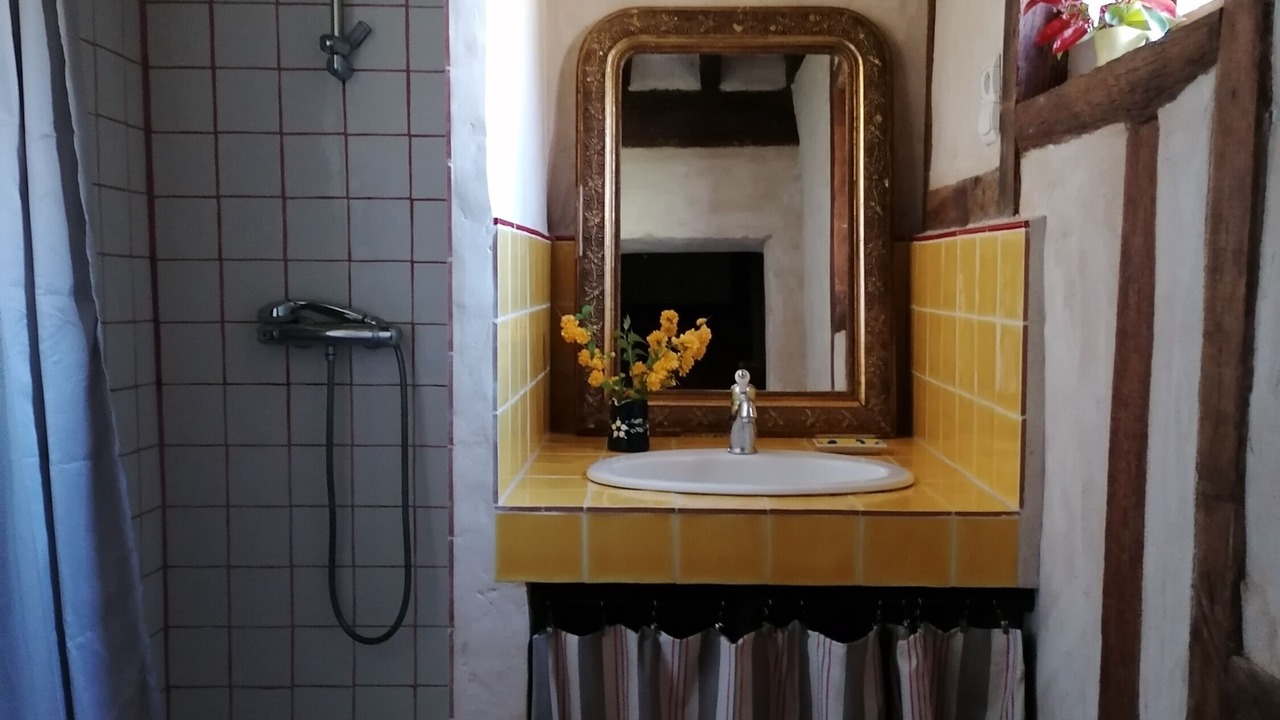 Photo of Bathroom in Bellou-le-Trichard