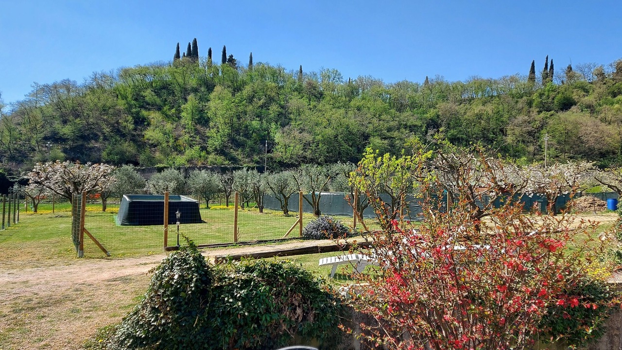 Photo of Outdoor in Gargagnago di Valpolicella