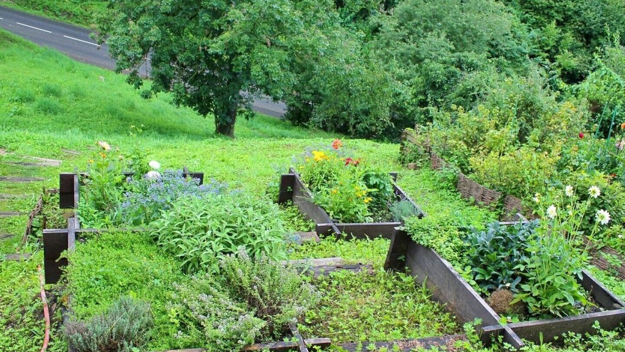 Photo of Outdoor in Ferrette