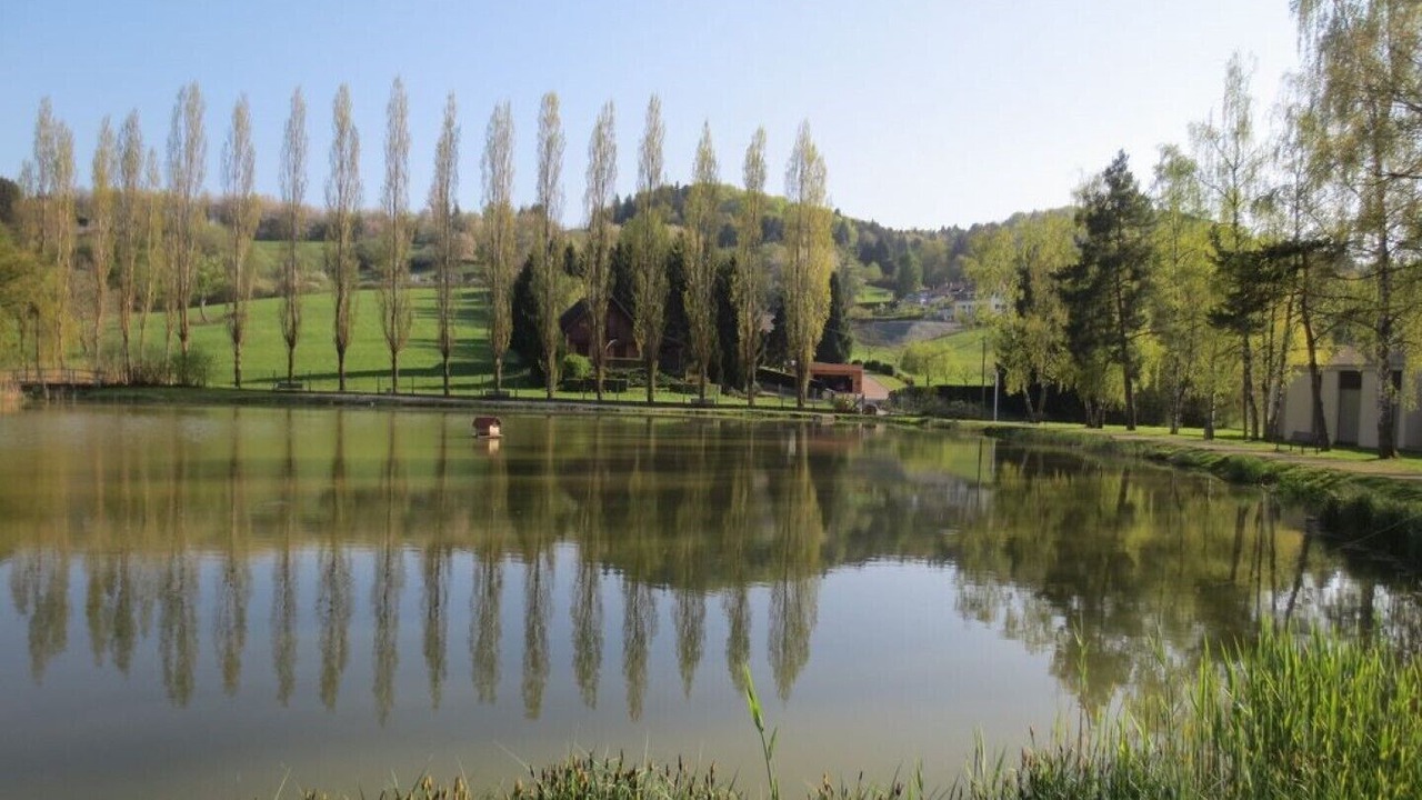 Photo of Outdoor in Ferrette