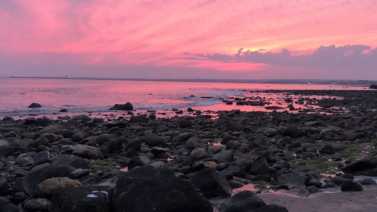 Photo of Others in Point Judith