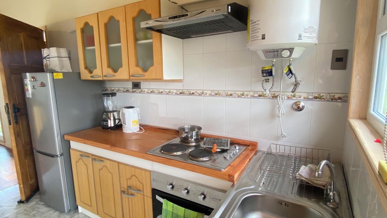 Photo of Kitchen in Puerto Varas