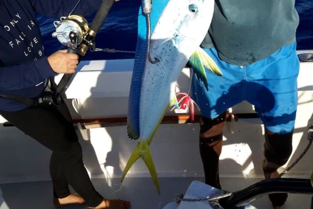 Photo of Others in Pointe aux Biches