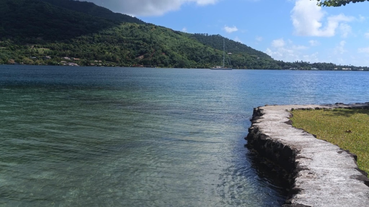 Photo of Others in Cook's Bay