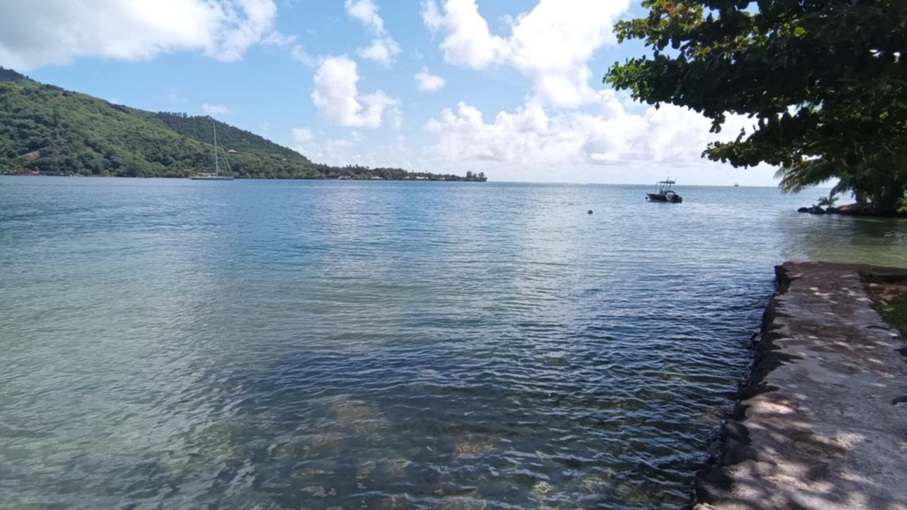 Photo of Others in Cook's Bay