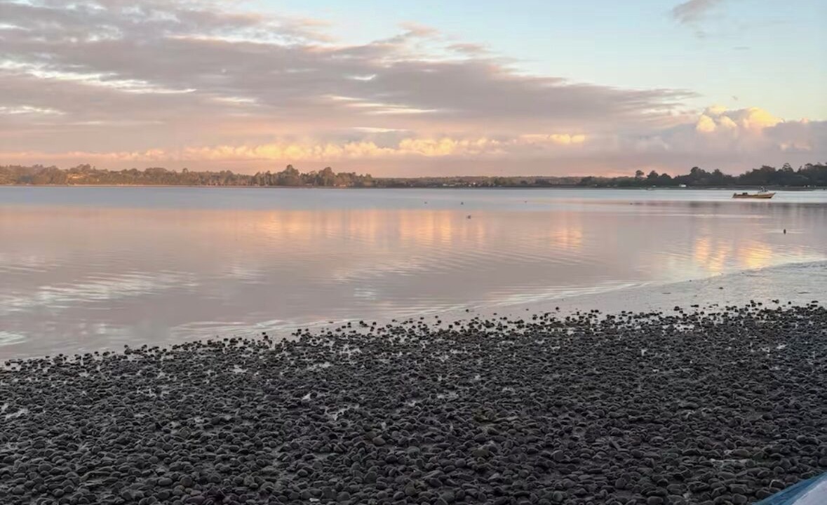 Photo of Others in Ancud