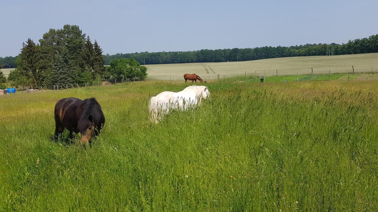 Photo of Others in Annenwalde