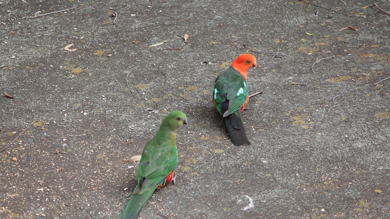 Photo of Others in Grose Vale