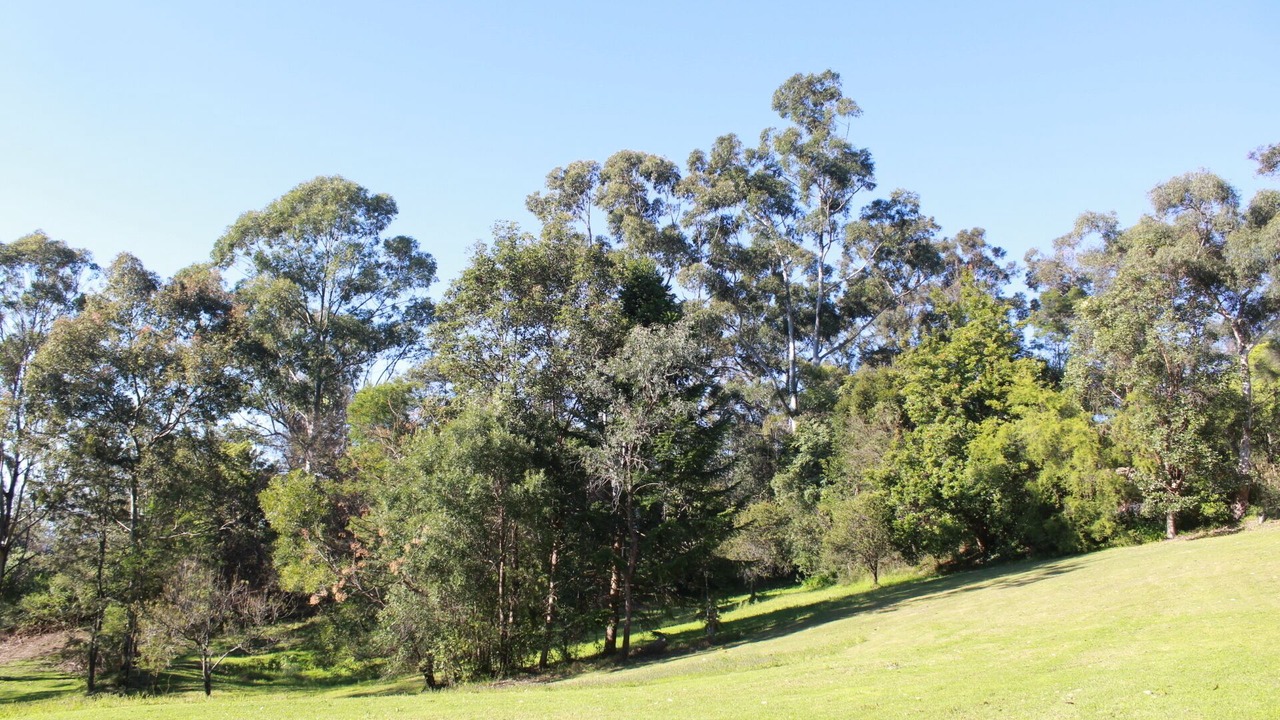 Photo of Others in Grose Vale