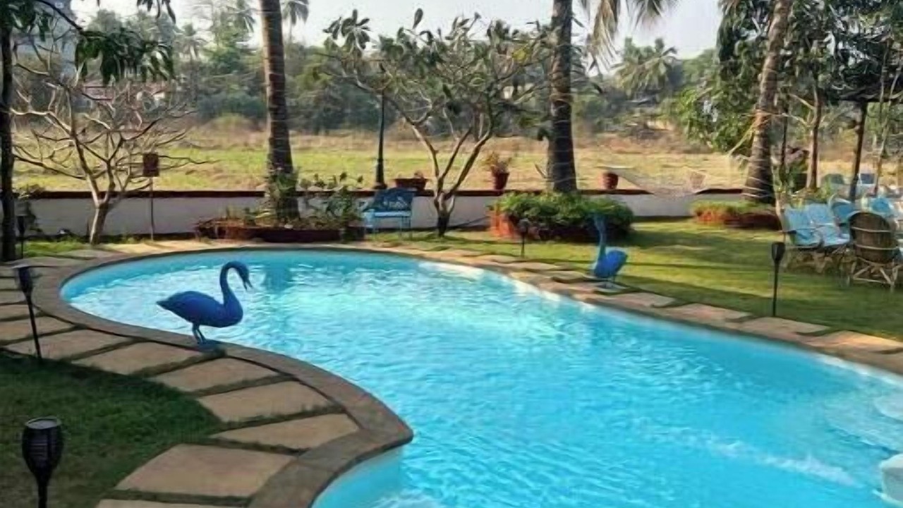 Photo of Outdoor in Anjuna