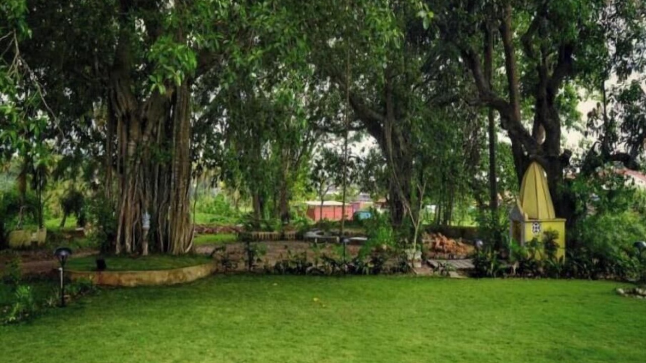 Photo of Outdoor in Candolim