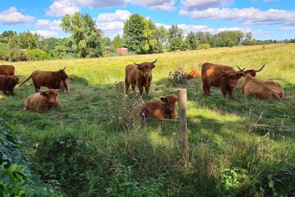 Photo of Others in Kirchwerder