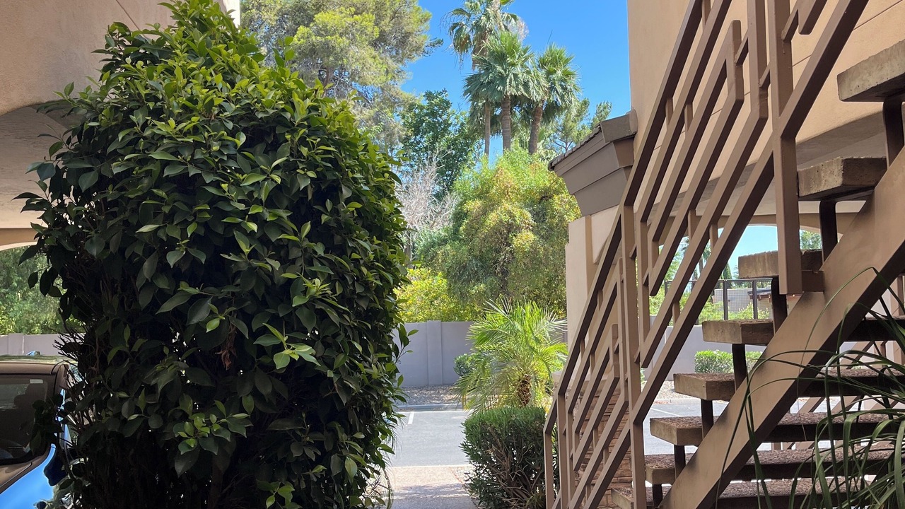 Photo of Outdoor in Olivewood Est