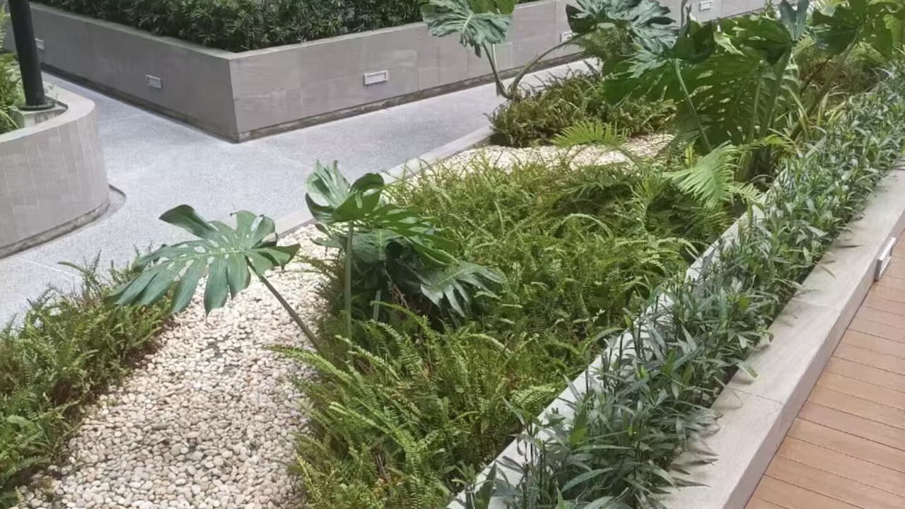 Photo of Outdoor in Bang Wa