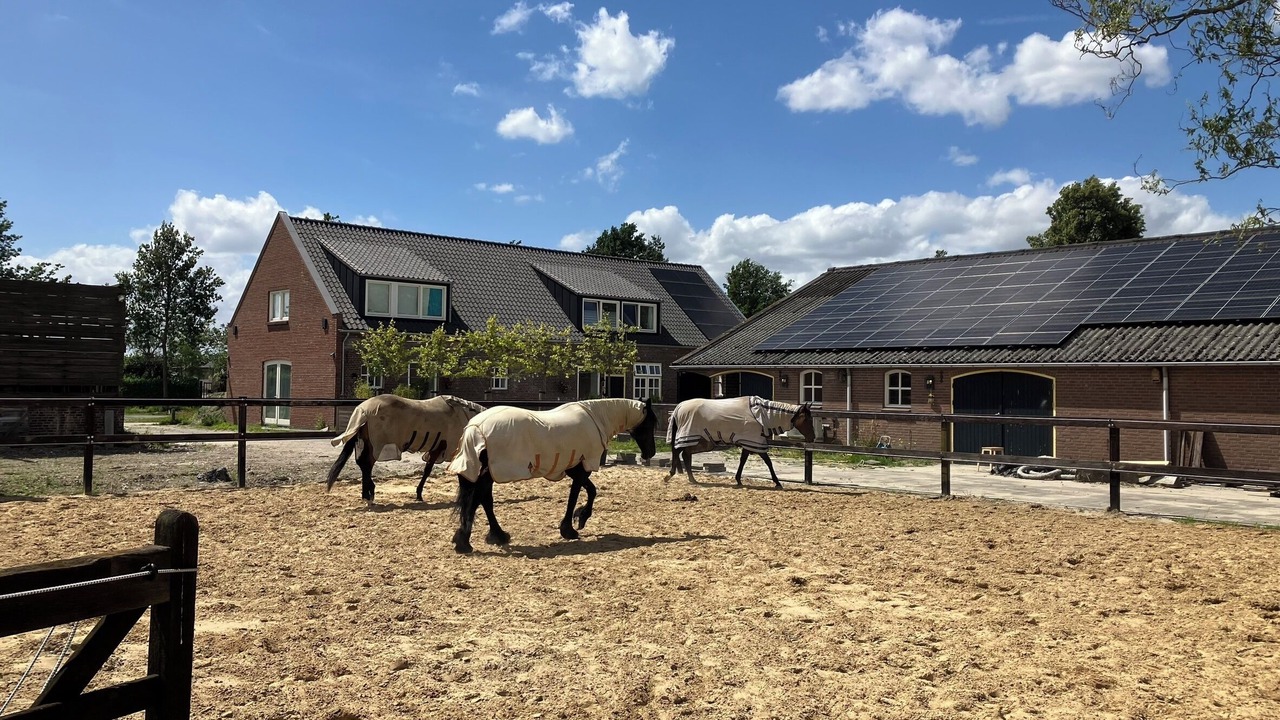 Photo of Others in Udenhout