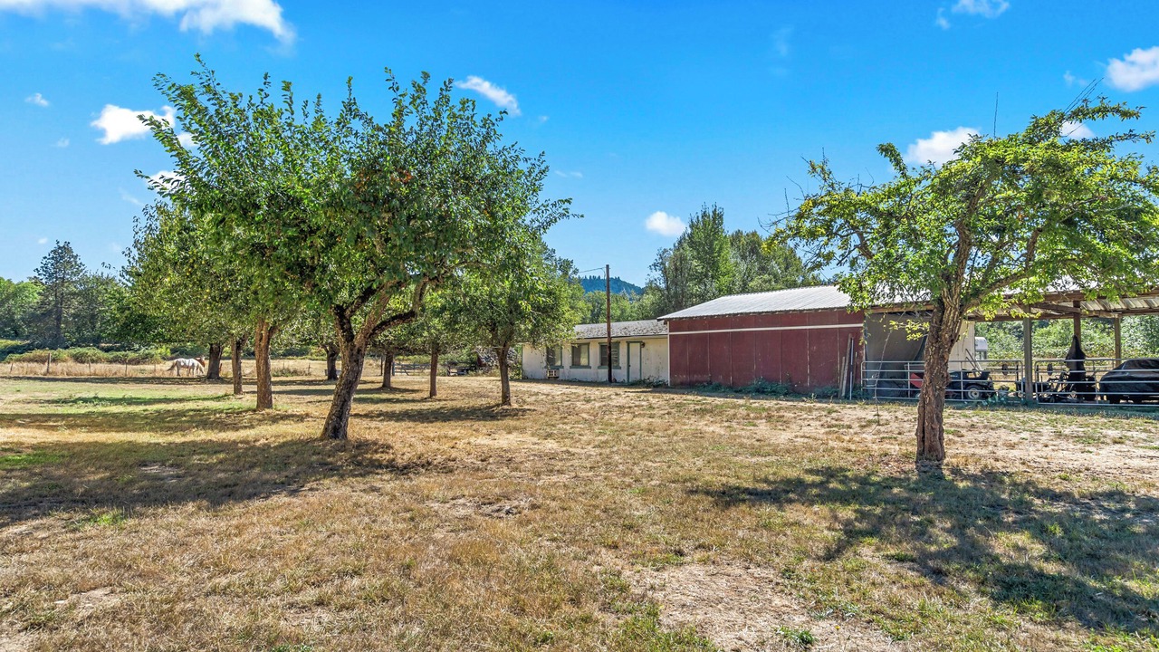 Photo of Outdoor in Douglas County