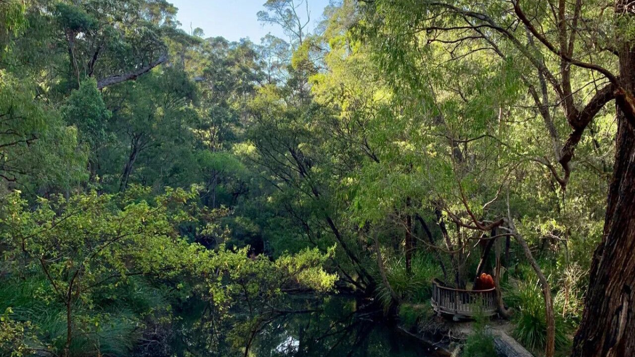 Photo of Others in Margaret River