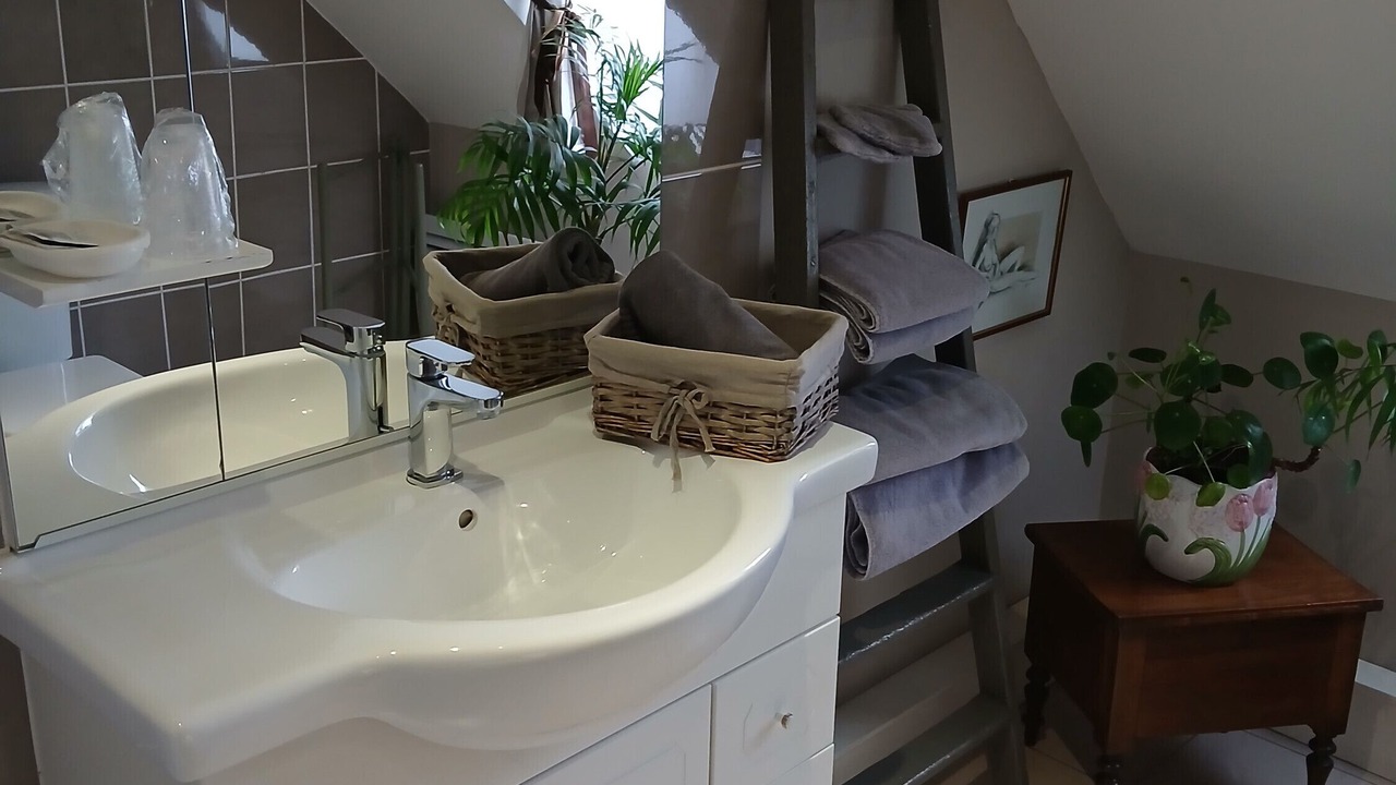 Photo of Bathroom in Saint-Aignan
