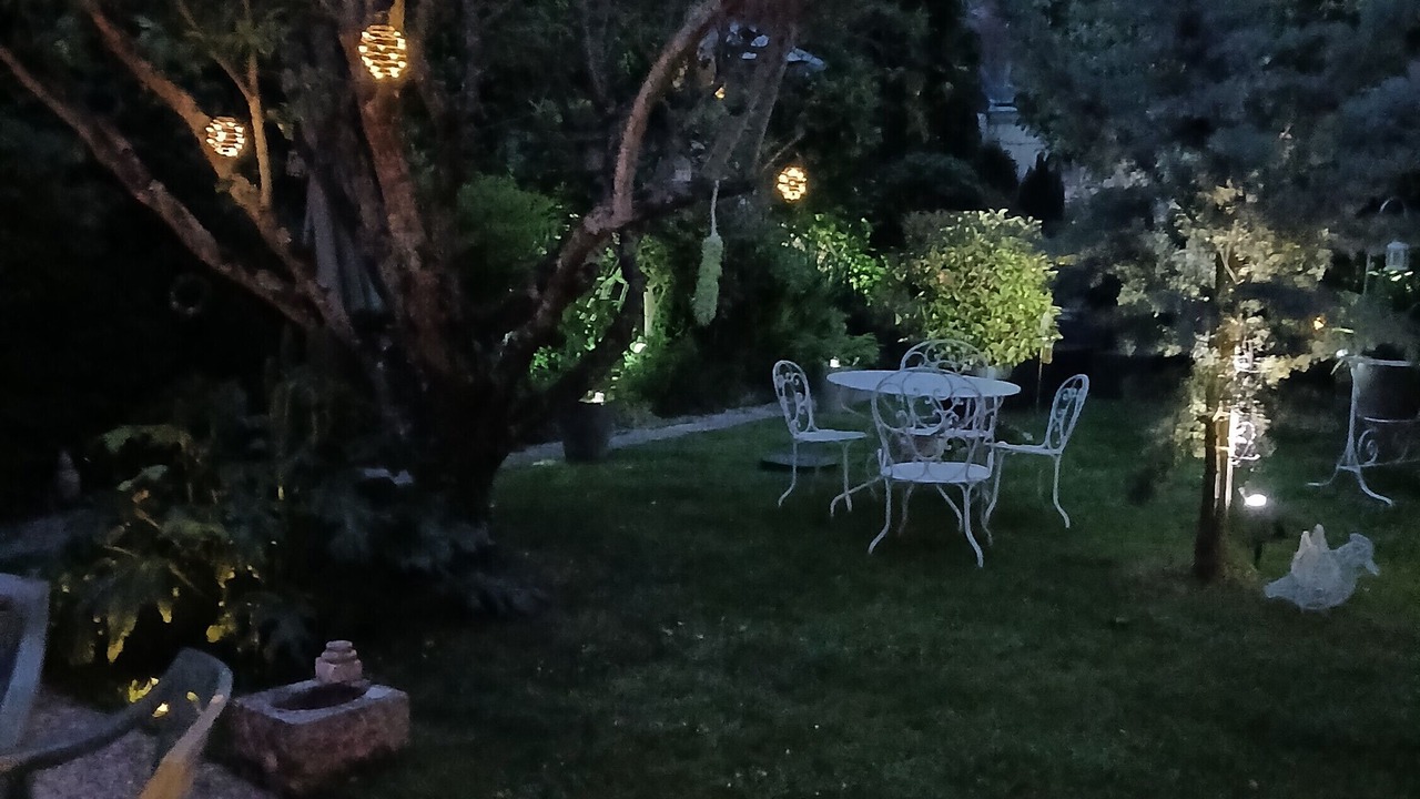 Photo of Outdoor in Saint-Aignan