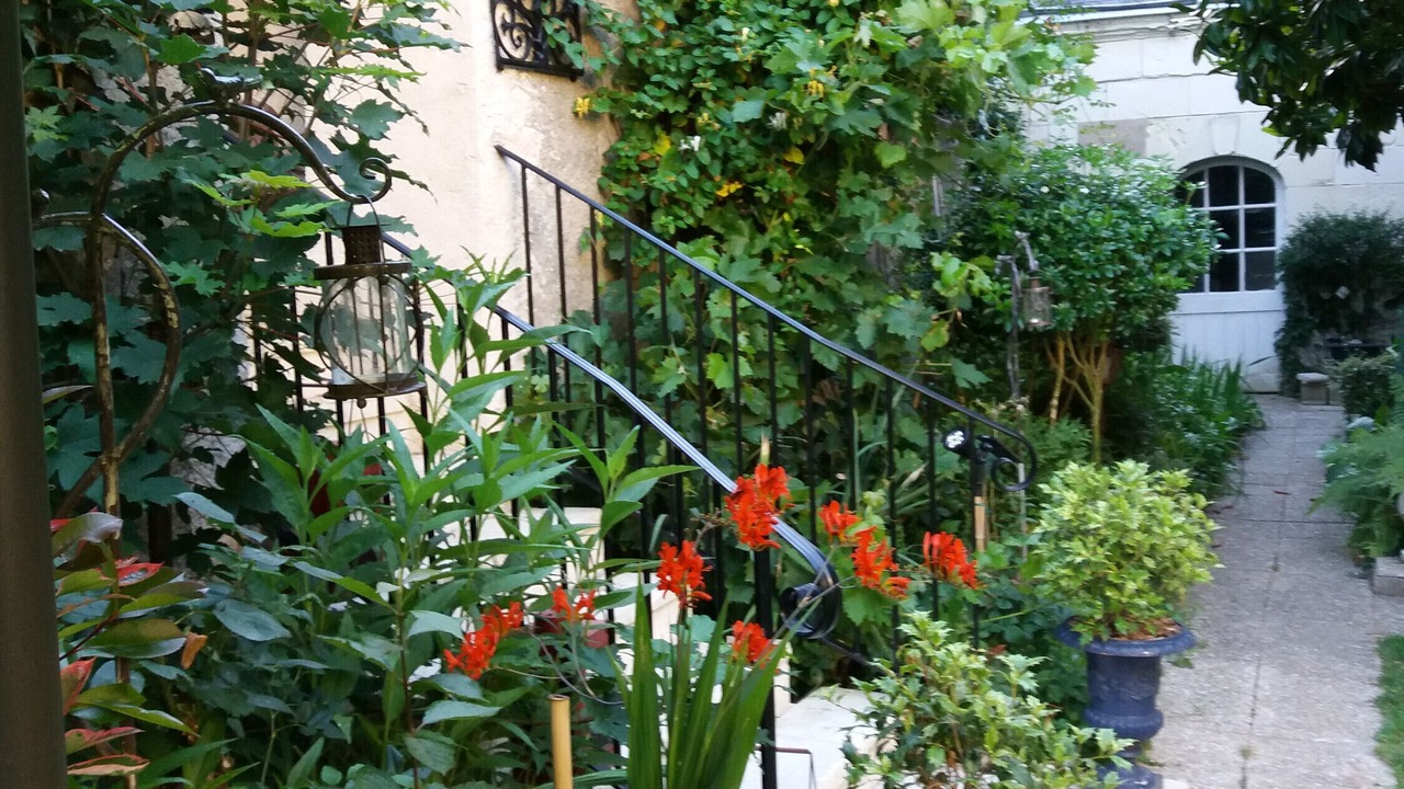 Photo of Outdoor in Saint-Aignan