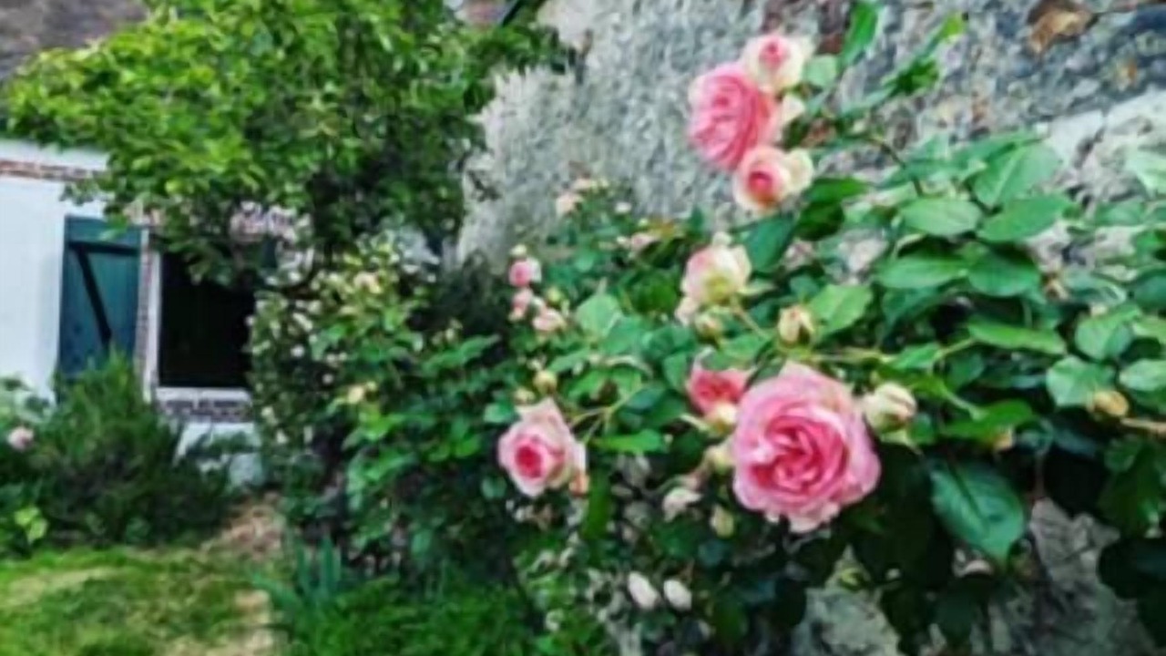Photo of Outdoor in Senonches