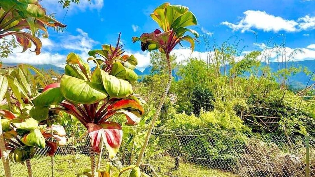 Photo of Outdoor in Hell-Bourg