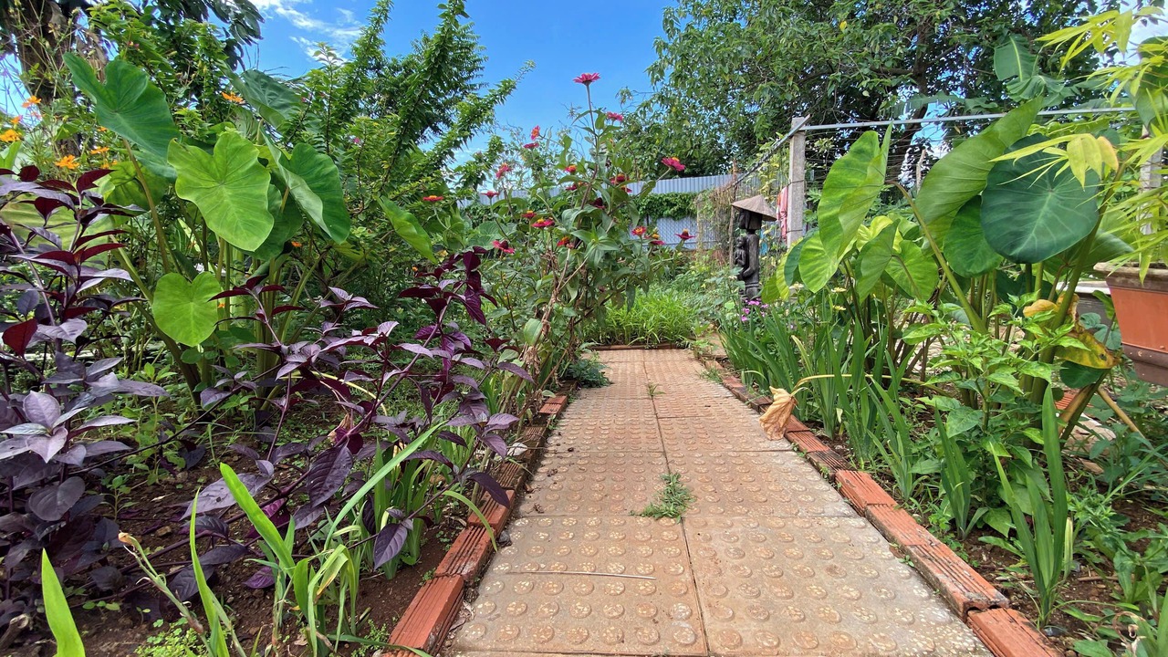 Photo of Outdoor in Buon Ma Thuot