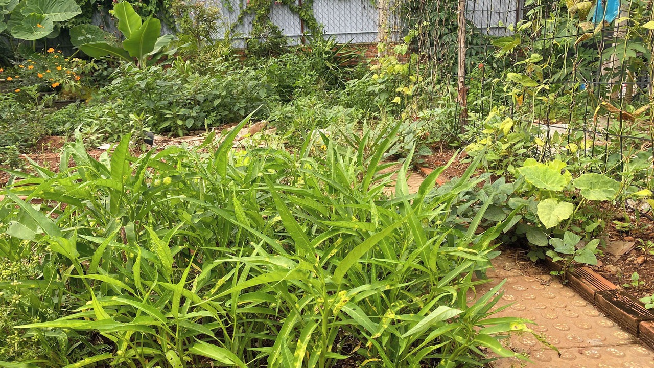 Photo of Outdoor in Buon Ma Thuot