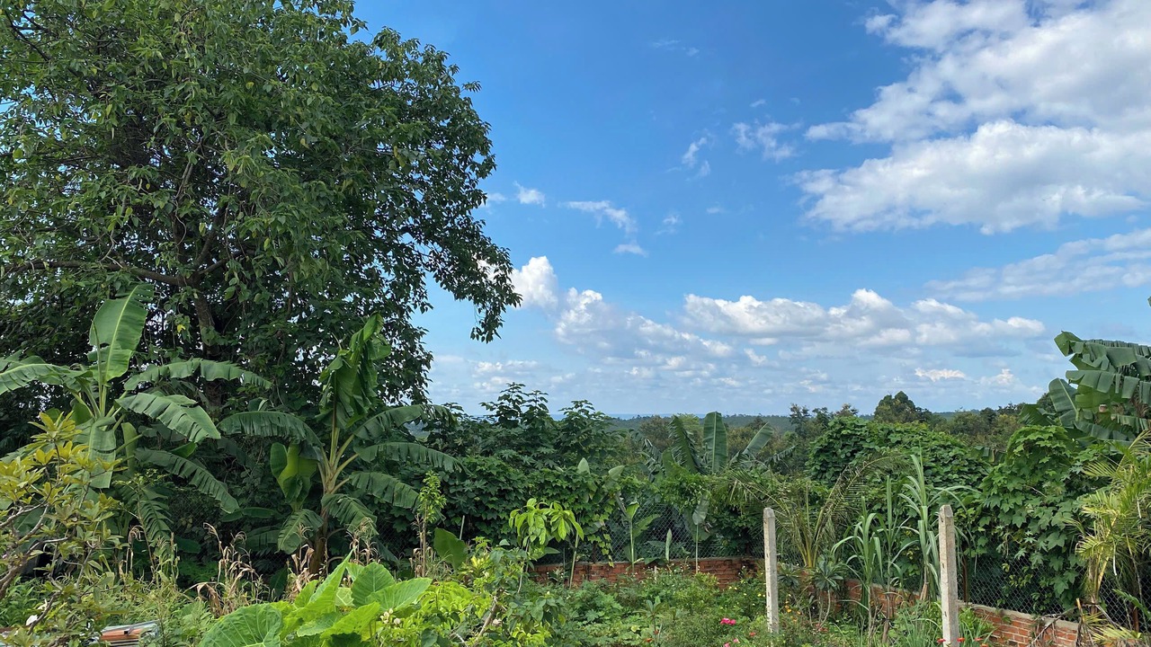 Photo of Outdoor in Buon Ma Thuot
