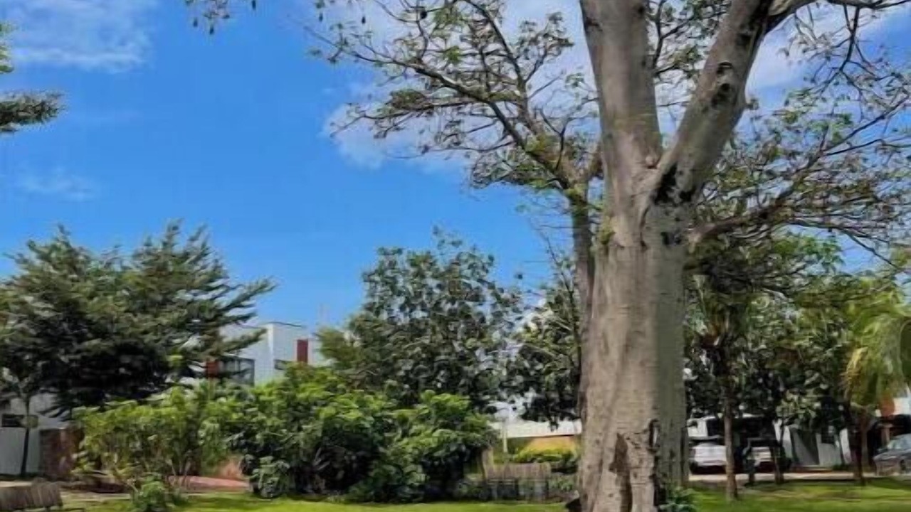 Photo of Outdoor in Kweiman