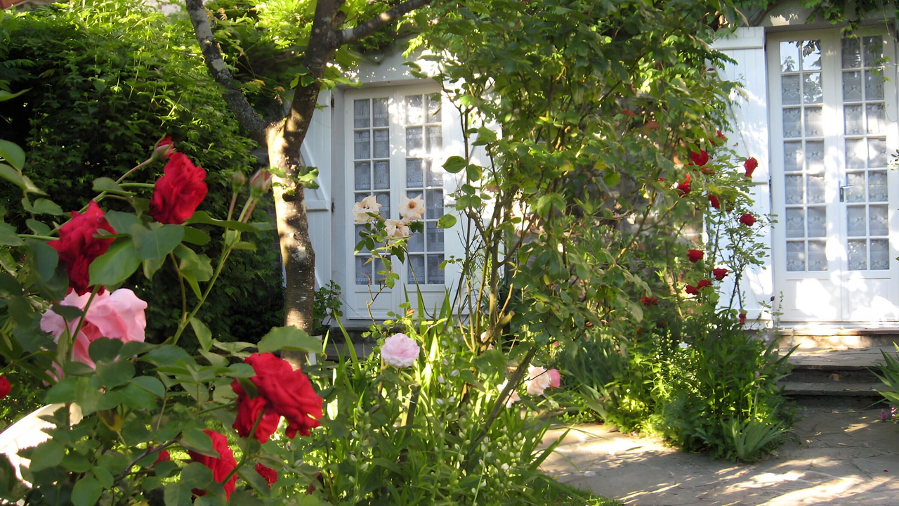 Photo of Outdoor in Panazol