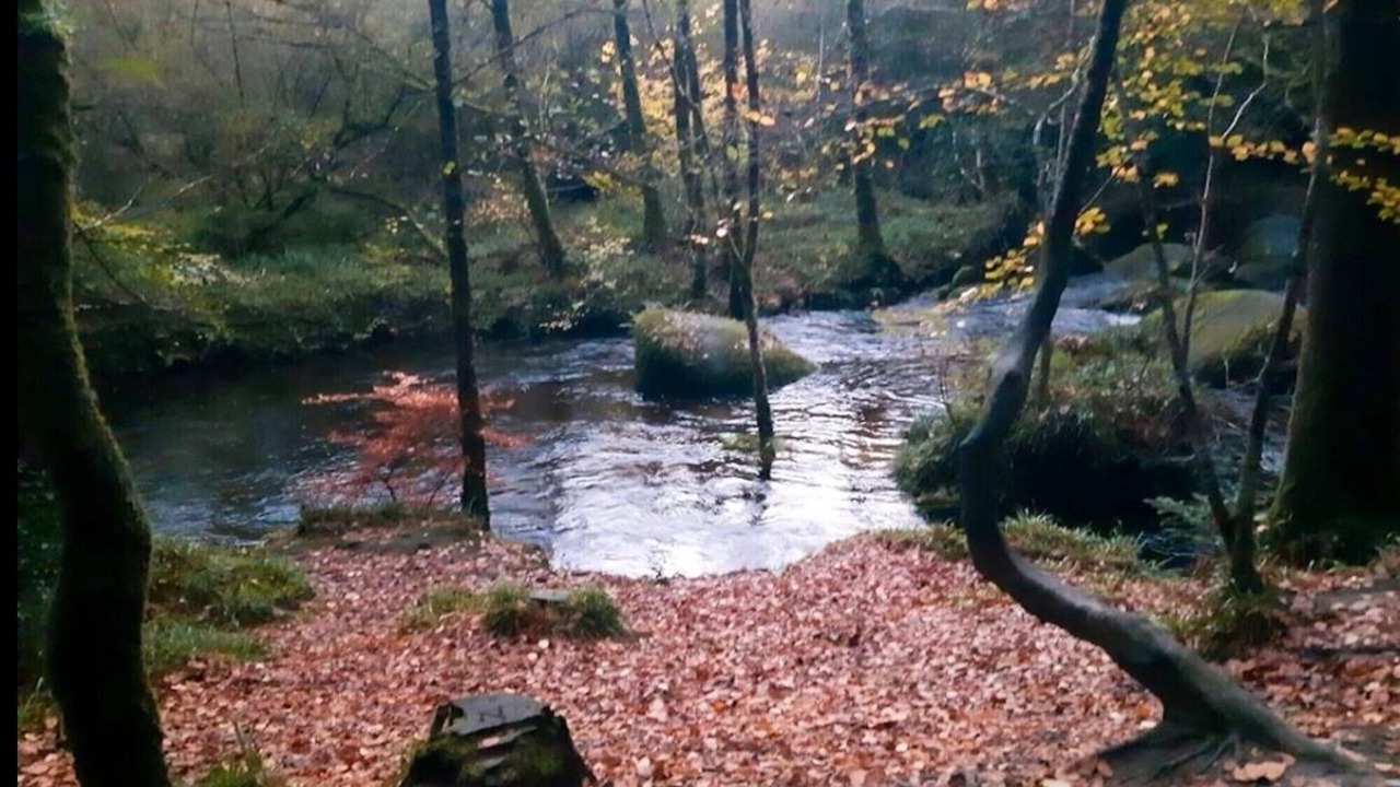 Photo of Others in Huelgoat
