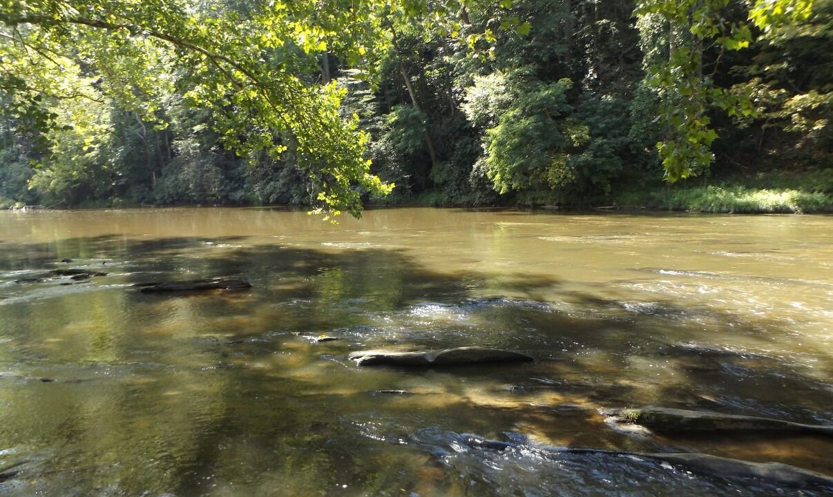 Photo of Others in Pine Creek