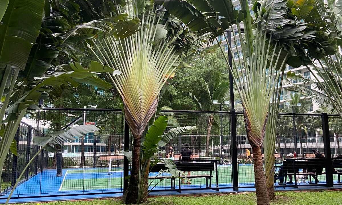Photo of Outdoor in Paranaque
