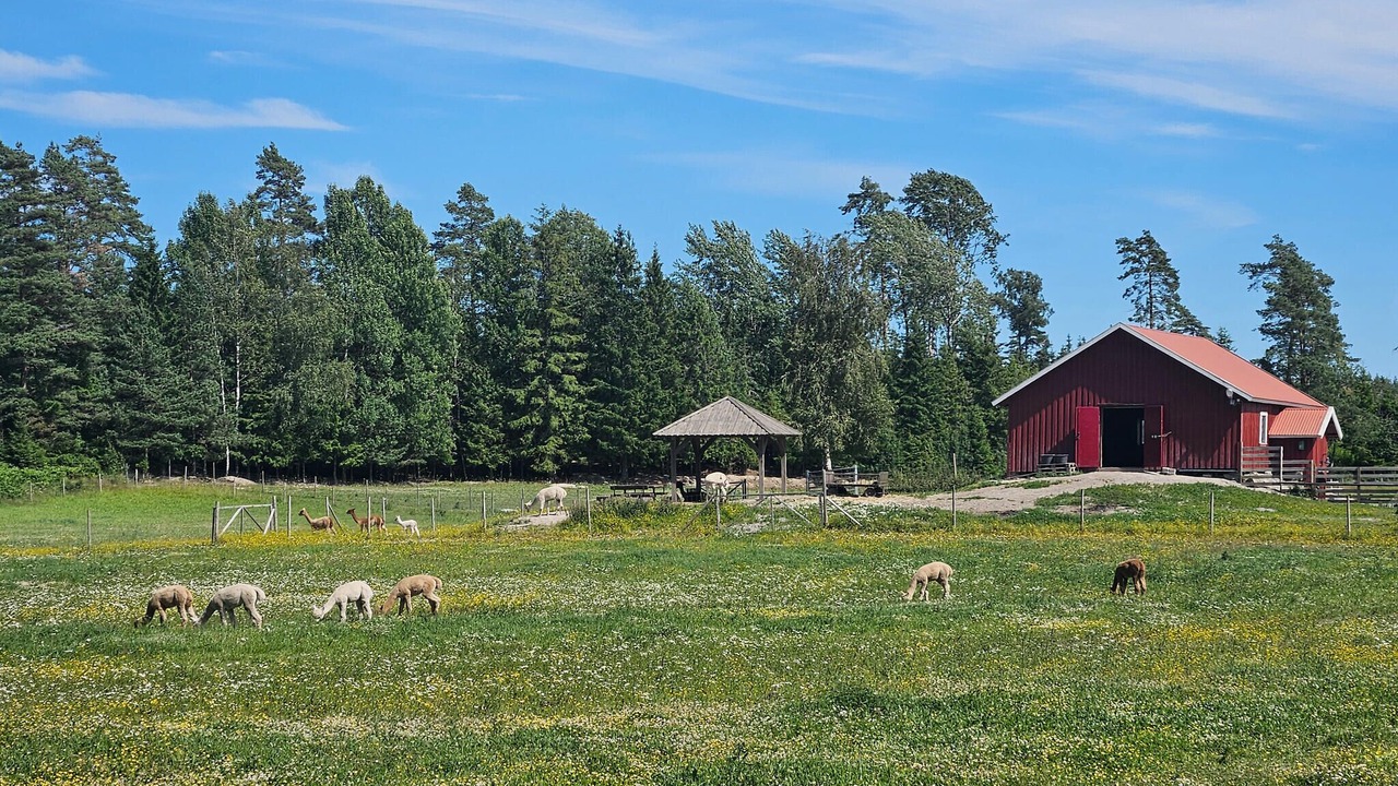 Photo of Others in Rygge Municipality