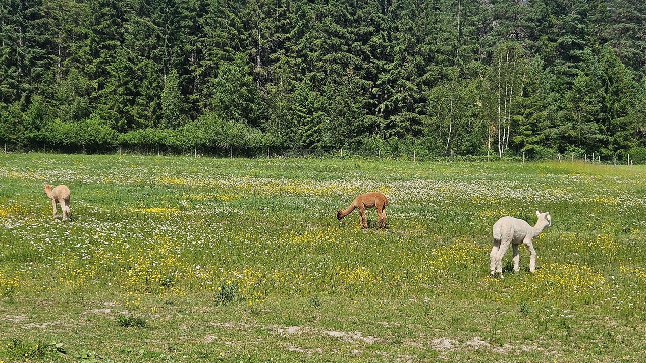 Photo of Others in Rygge Municipality