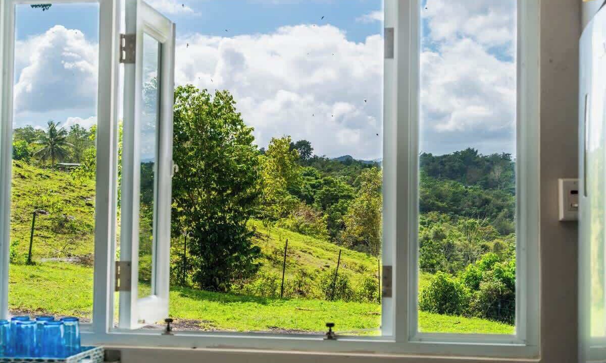Photo of Others in Morovis
