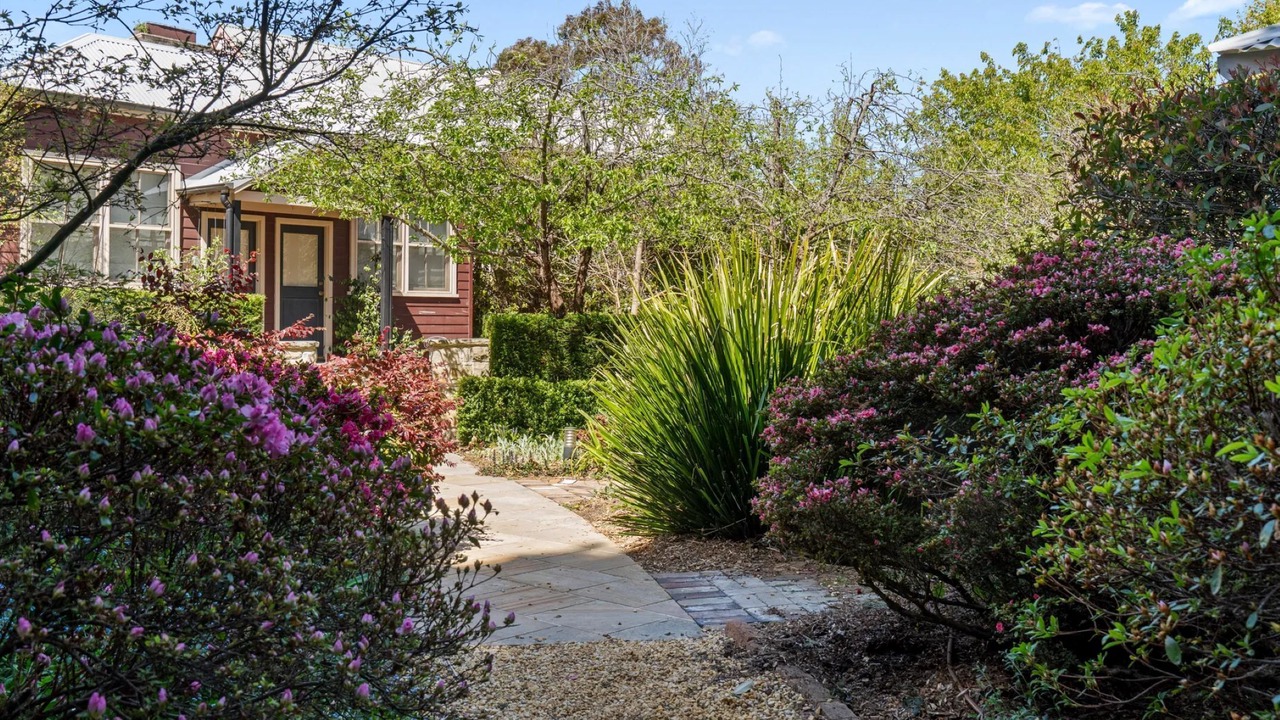 Photo of Outdoor in Katoomba